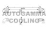 AUTOGAMMA 105115 Intercooler, charger